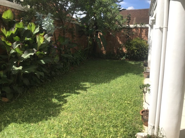Le jardin